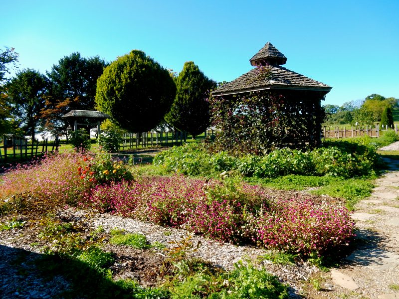 demo-garden-rodale-institute-kutztown-pa