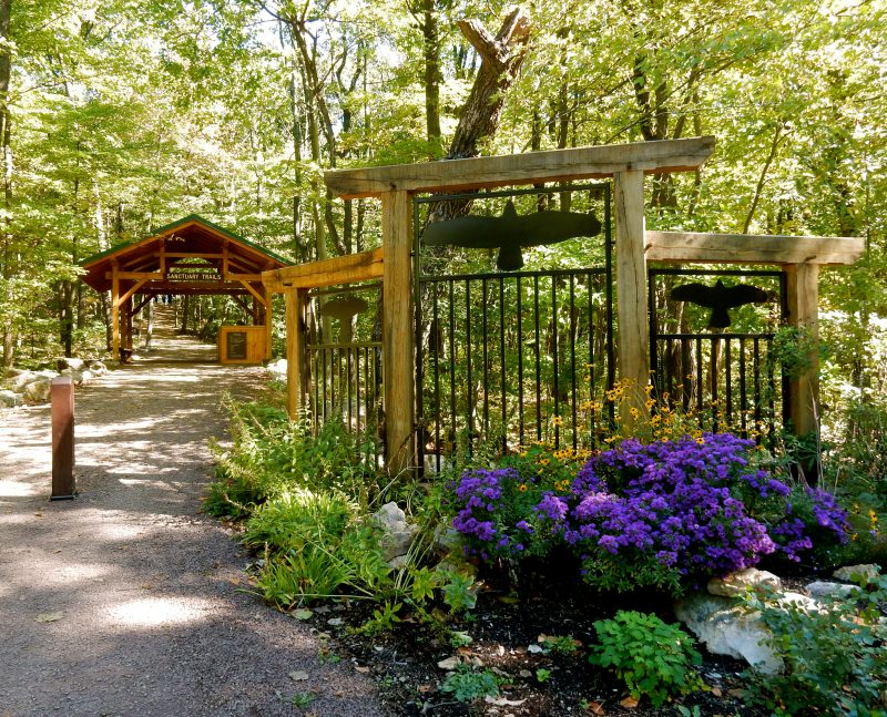 hawk-mountain-sanctuary-trails-pa