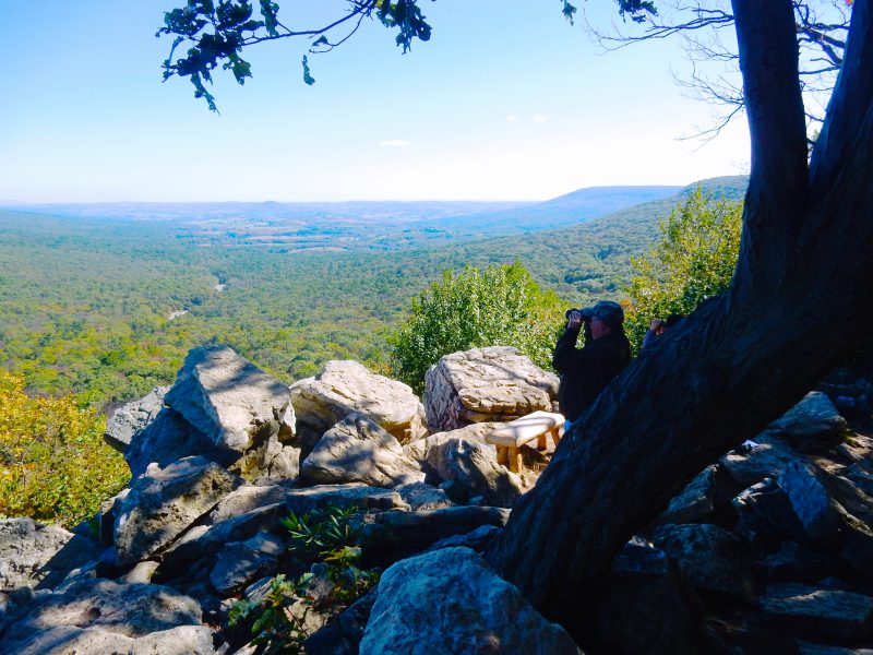 hawk-watching-hawk-mountain-sanctuary-pa