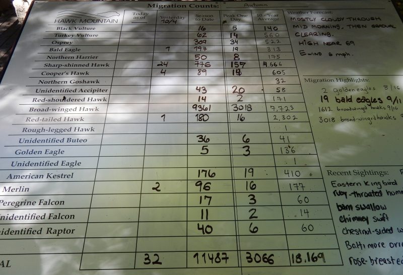migration-count-board-hawk-mountain-pa