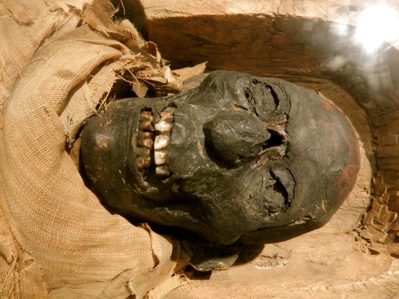 mummy-nefrina-reading-public-museum-pa