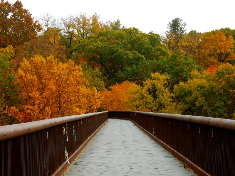 rosendale-trestle-walkill-rail-trail-rosendale-ny