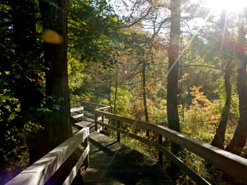 boardwalk-mashomack-preserve-shelter-island-ny