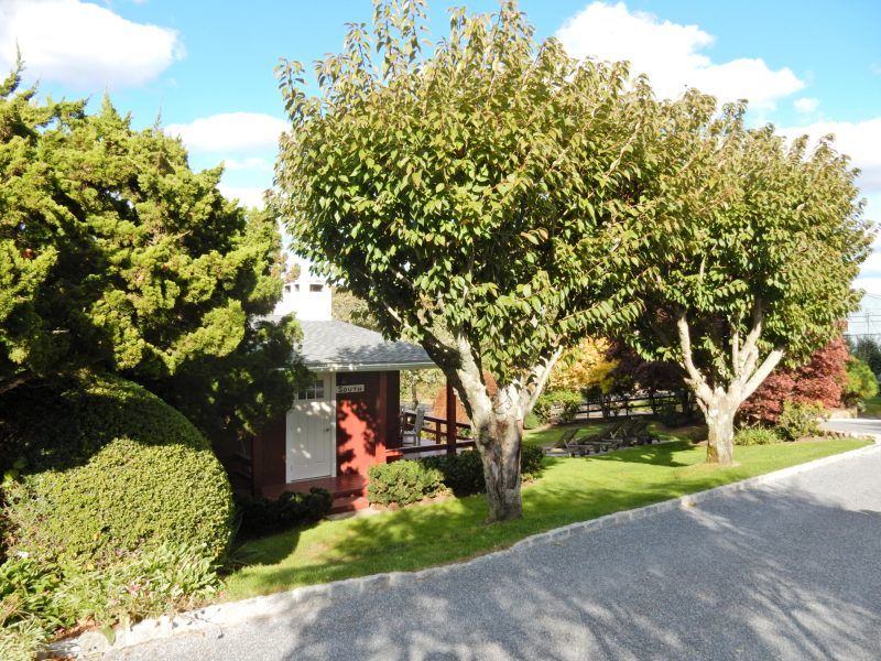 cottage-hidden-by-trees-hither-house-cottages-montauk-ny