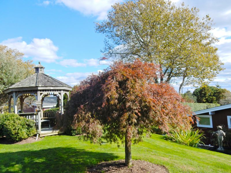 gazebo-hither-house-cottages-montauk-ny