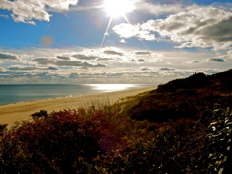 montauk-ocean-beach-montauk