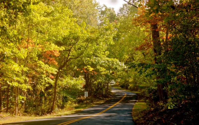 road-on-shelter-island-ny