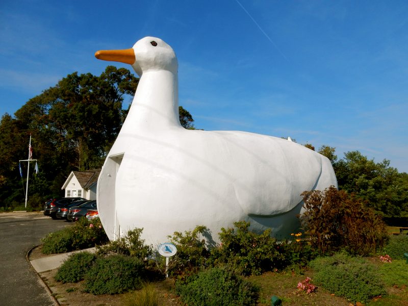 the-big-duck-flanders-ny