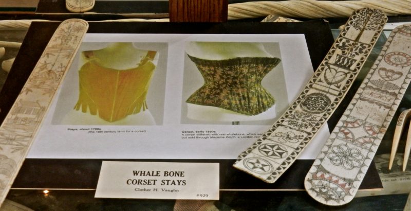 whale-bone-corset-stays-sag-harbor-whaling-museum-ny