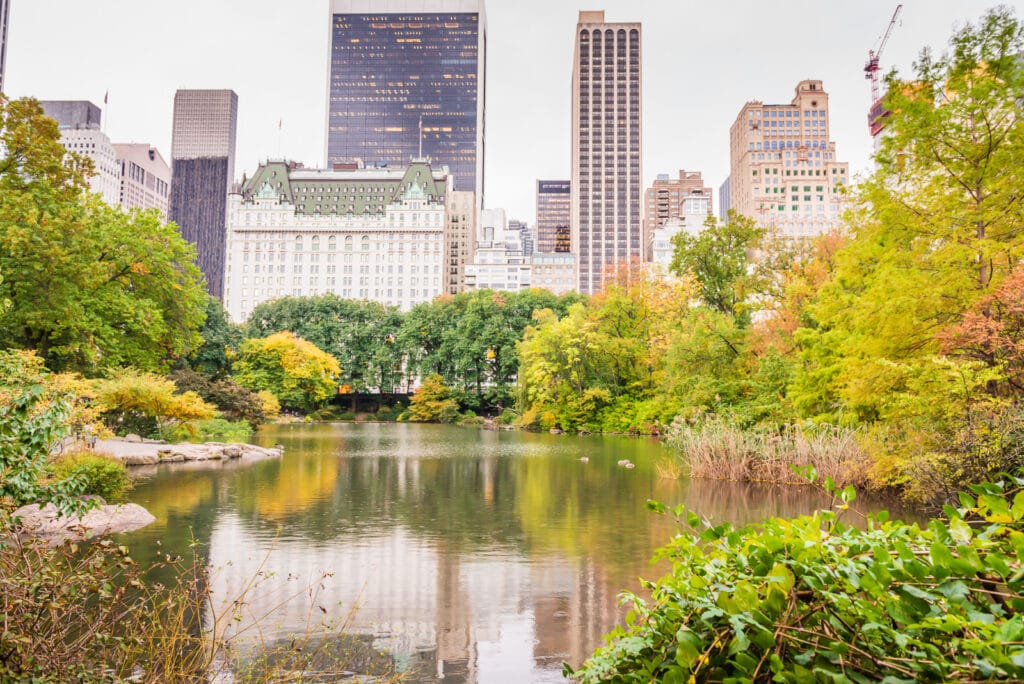 Central Park Lake