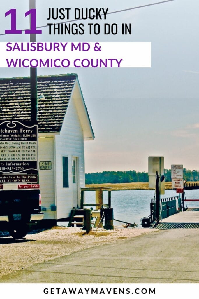 Things to do in Salisbury MD and greater Wicomico County Pin