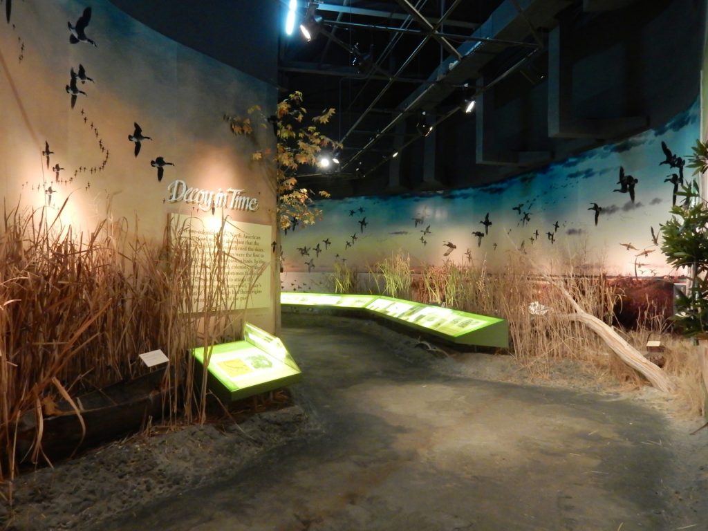 Decoy In Time, Ward Wildfowl Art Museum, Salisbury MD