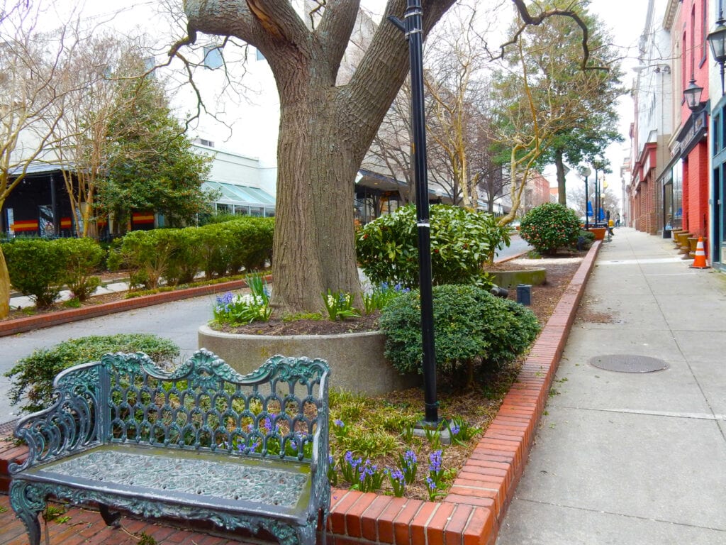 Salisbury MD Pedestrian Mall