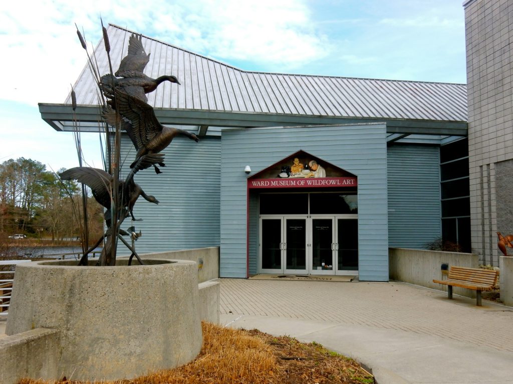 Ward Museum of Wildfowl Art - Salisbury MD