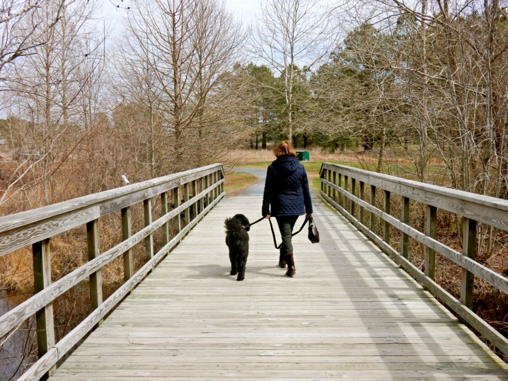 Adkins Arboretum, MD