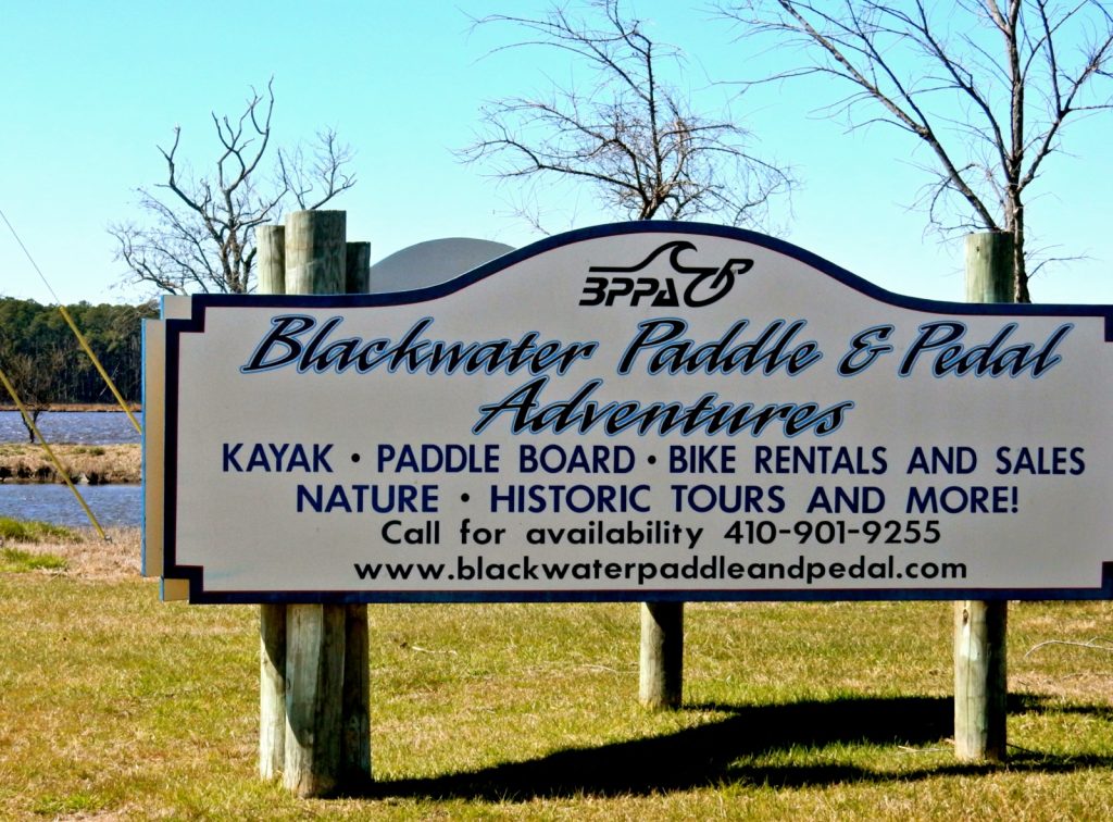 Blackwater Paddle and Pedal Adventures, Dorchestser County MD