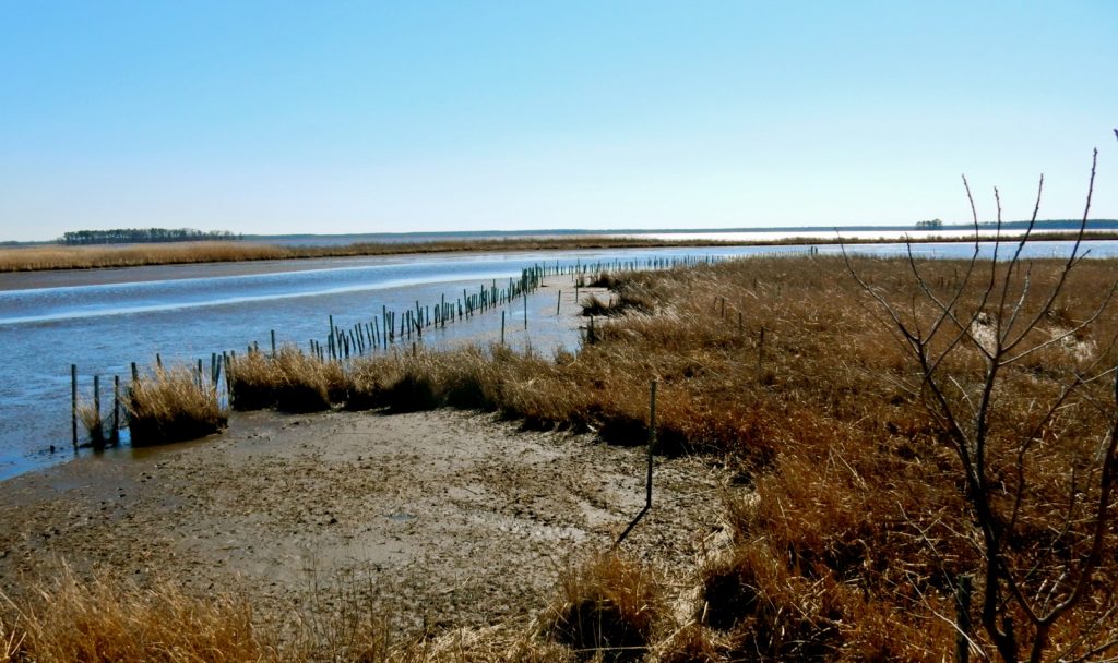 Dorchester County MD timeless landscape on the Eastern Shore.