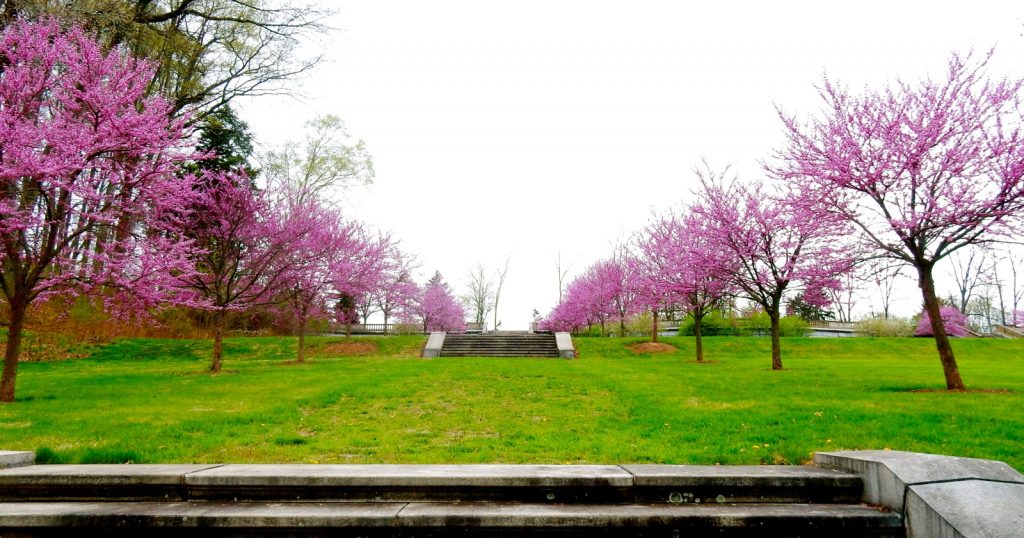 Duke Farms in spring, Hillsborough NJ