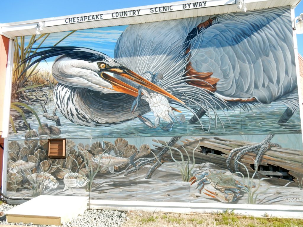 Heron Mural, Cambridge MD