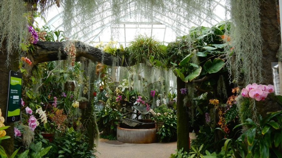 Somerset County NJ Somerville, Bernardsville Quirky, Quaint, and