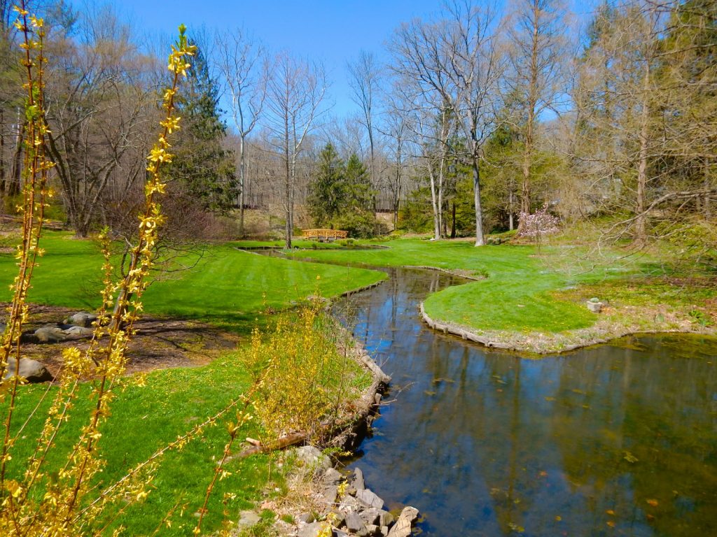 Ponds at Leonard J. Buck Garden, Far Hills NJ