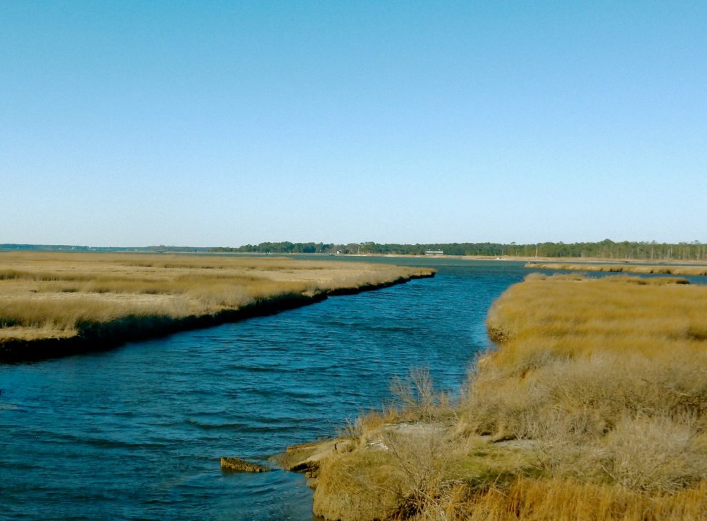 Stewart’s Canal – aka Parson’s Creek