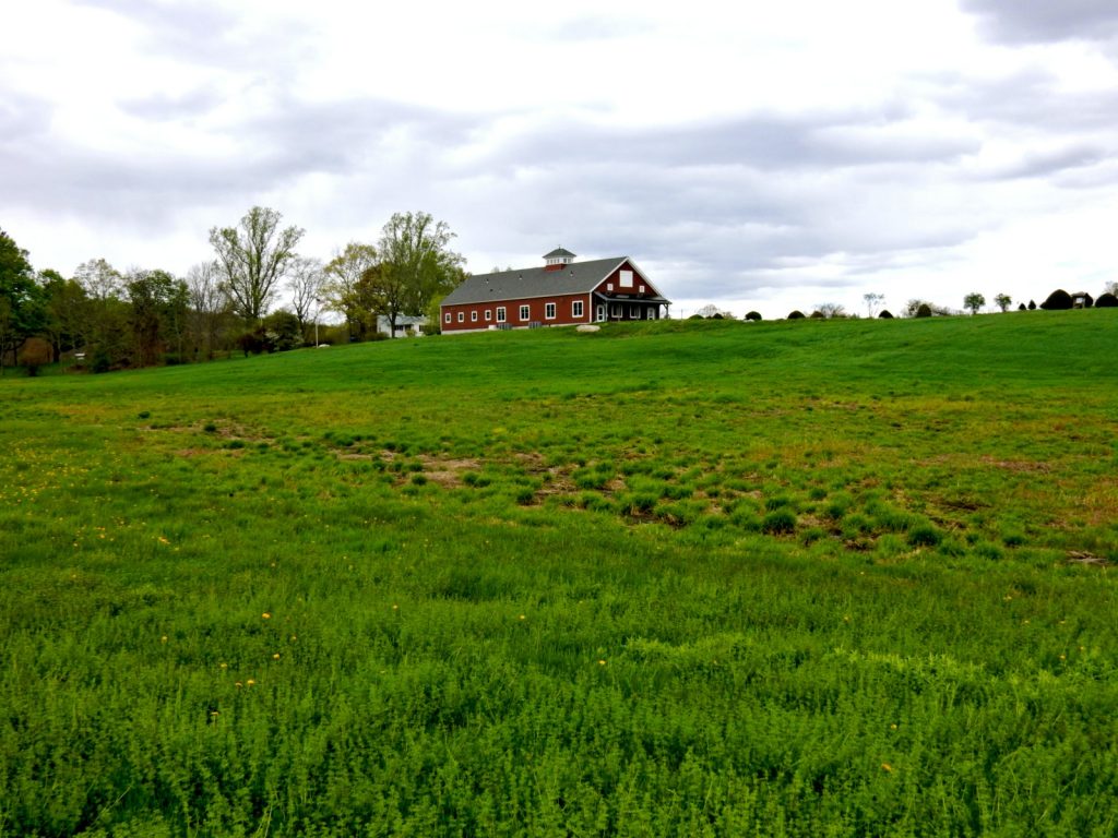 Audubon Society, Pomfret CT