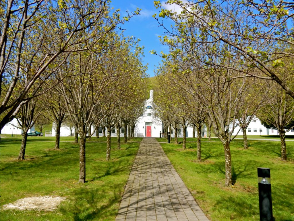 Elizabeth Wilson Museum of Art Manchester VT