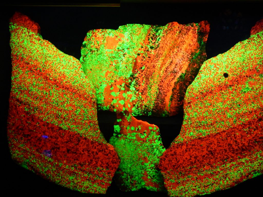 Fluorescent rocks at Sterling Mine NJ 