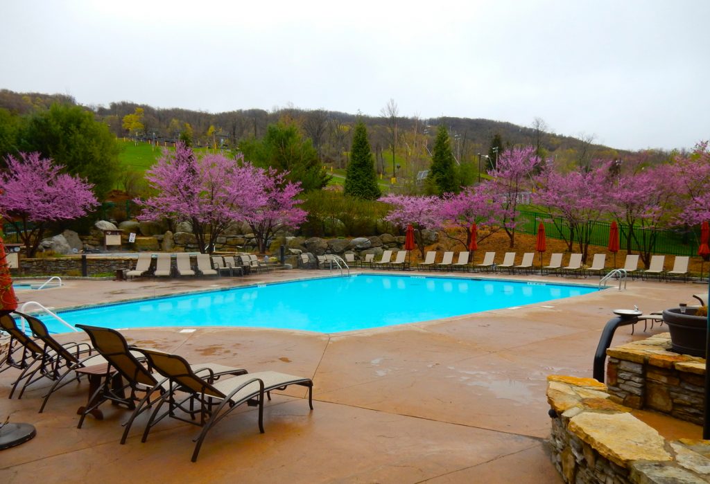 Pool, The Appalachian at Mountain Creek NJ