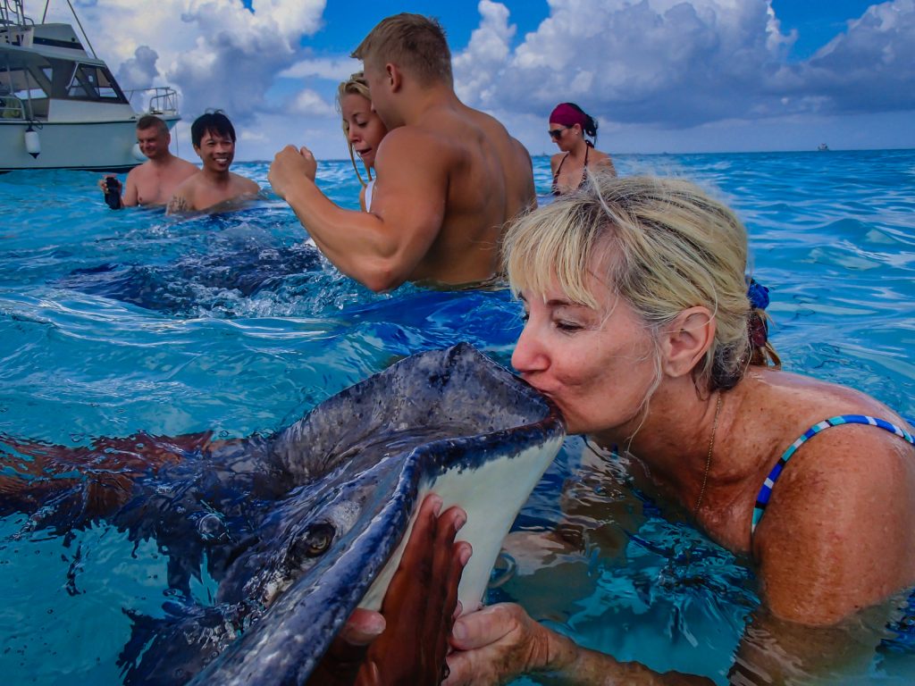 Tourist kissing a stingray in the ocean at Stingray City