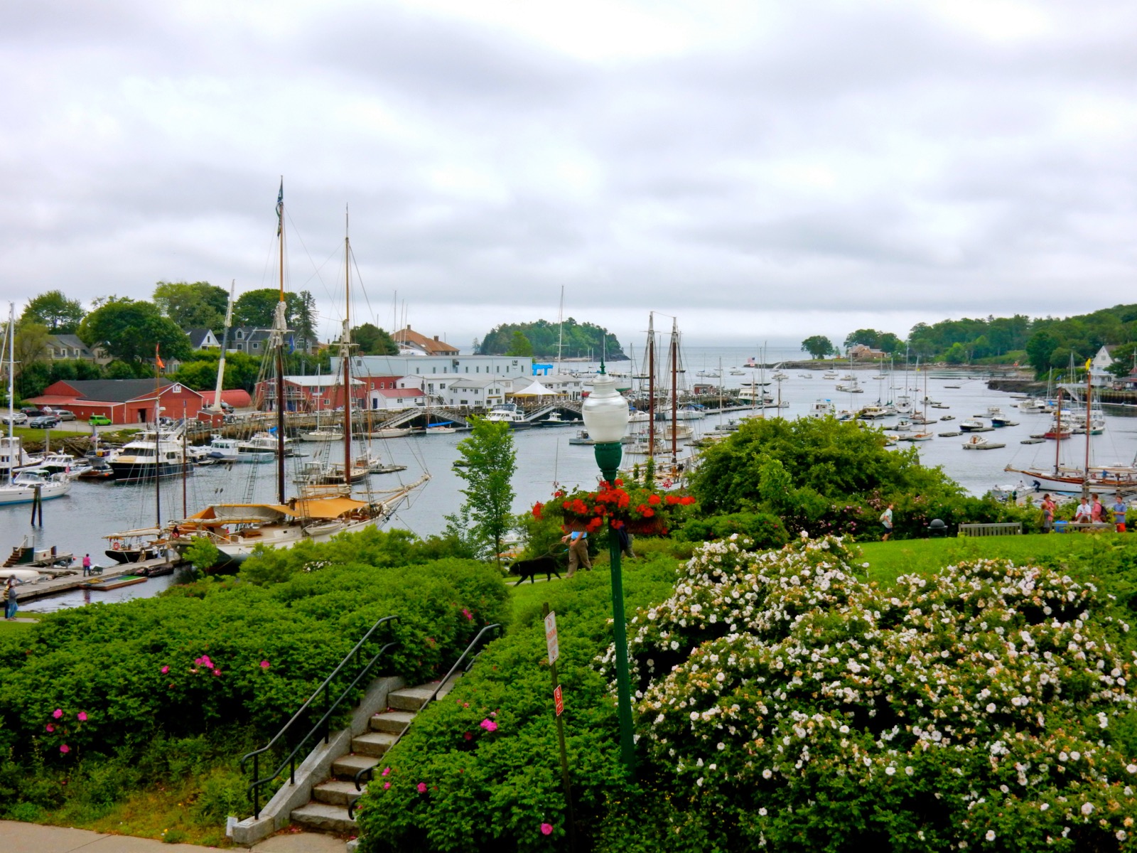 Camden Maine Beyond Schooner Daytrips Getaway Mavens