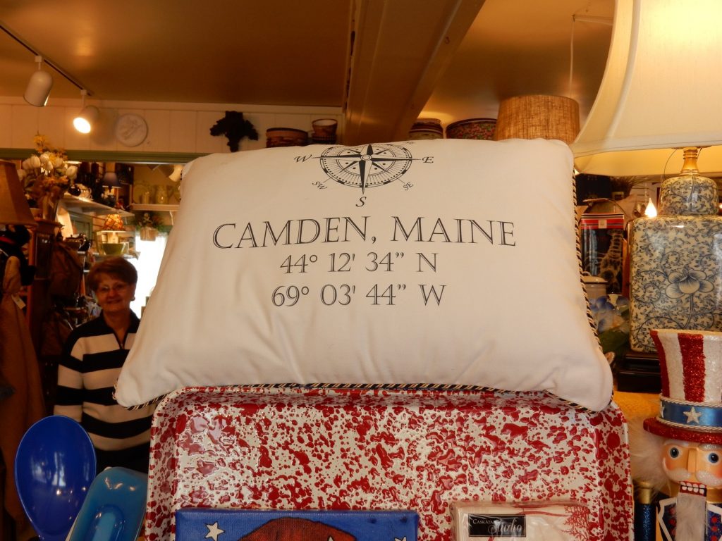 CamdenMEPillowSurroundings