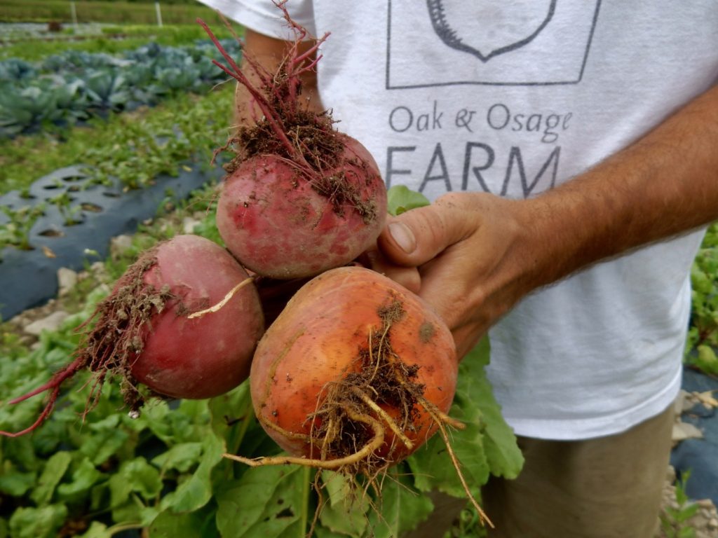 Beets Oak and Osage Farm Hammondsport NY