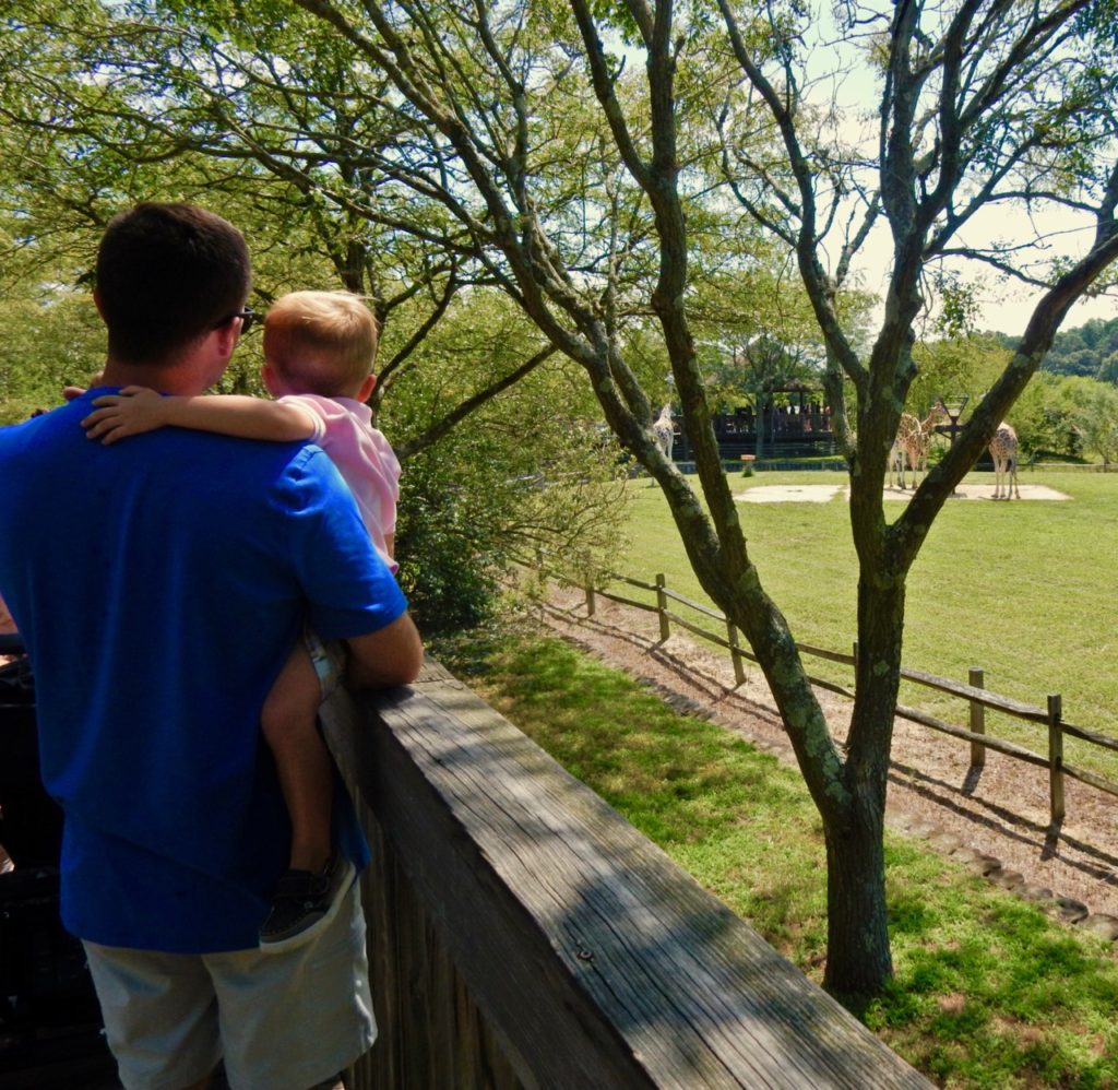 Cape May County Zoo, NJ