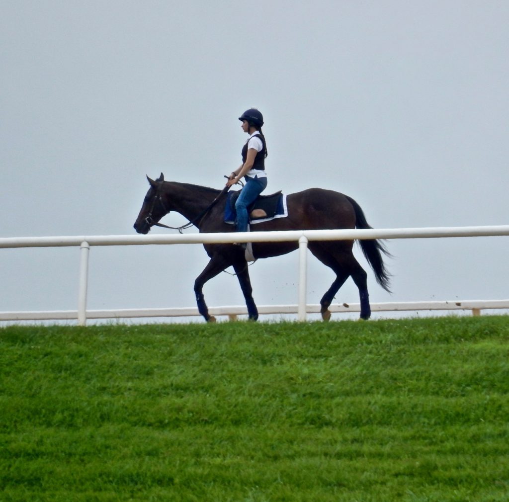 Fair Hills Training Center MD Fair Hill Training Center MD