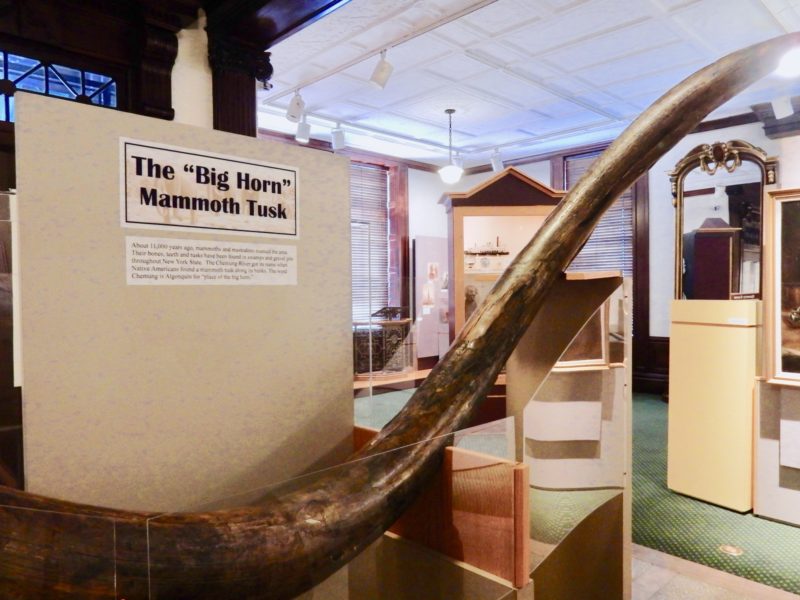 Big Horn Mammoth Tusk