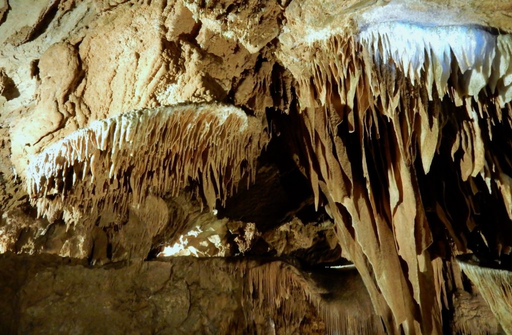 Shield Formations Grand Caverns Grottoes VA