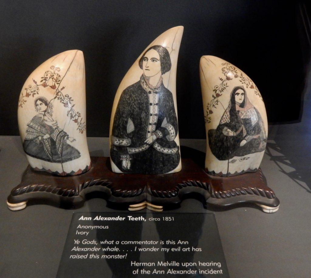 Scrimshaw Whaling Museum Nantucket MA