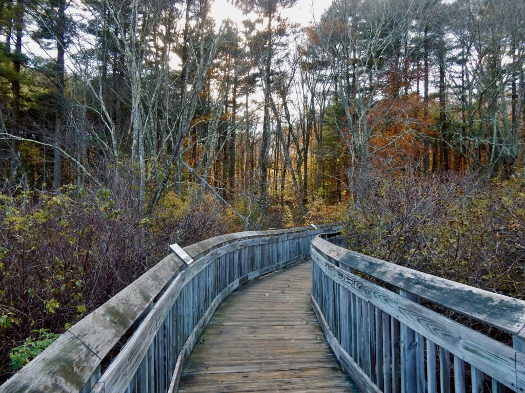 Boardwalk Chatfield Hollow SP Killingworth CT