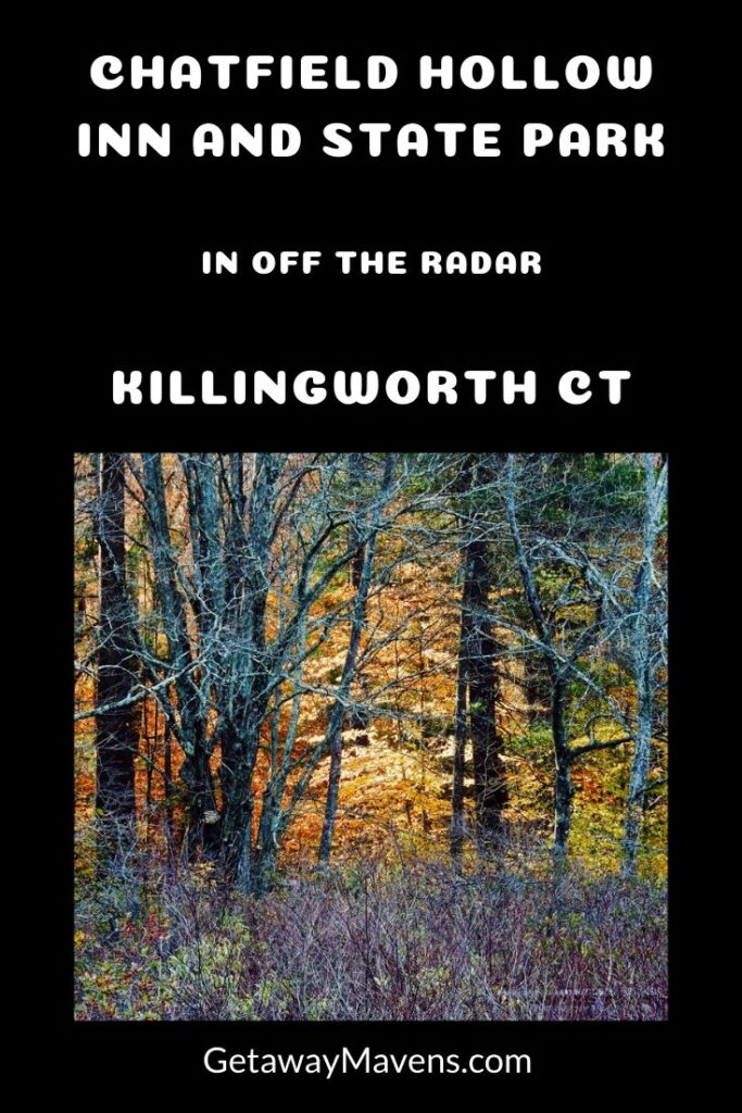Chatfield Hollow Killingworth CT Pin