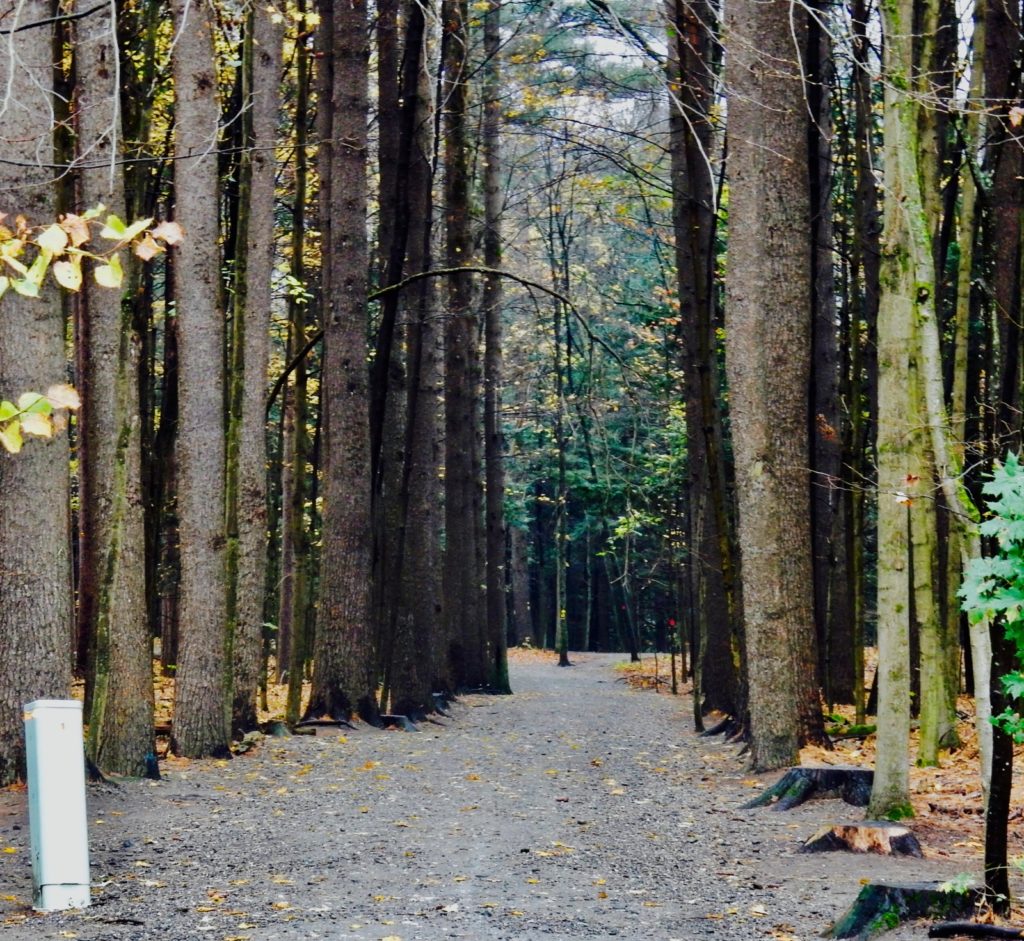 Hiking Trail Saratoga State Park NY