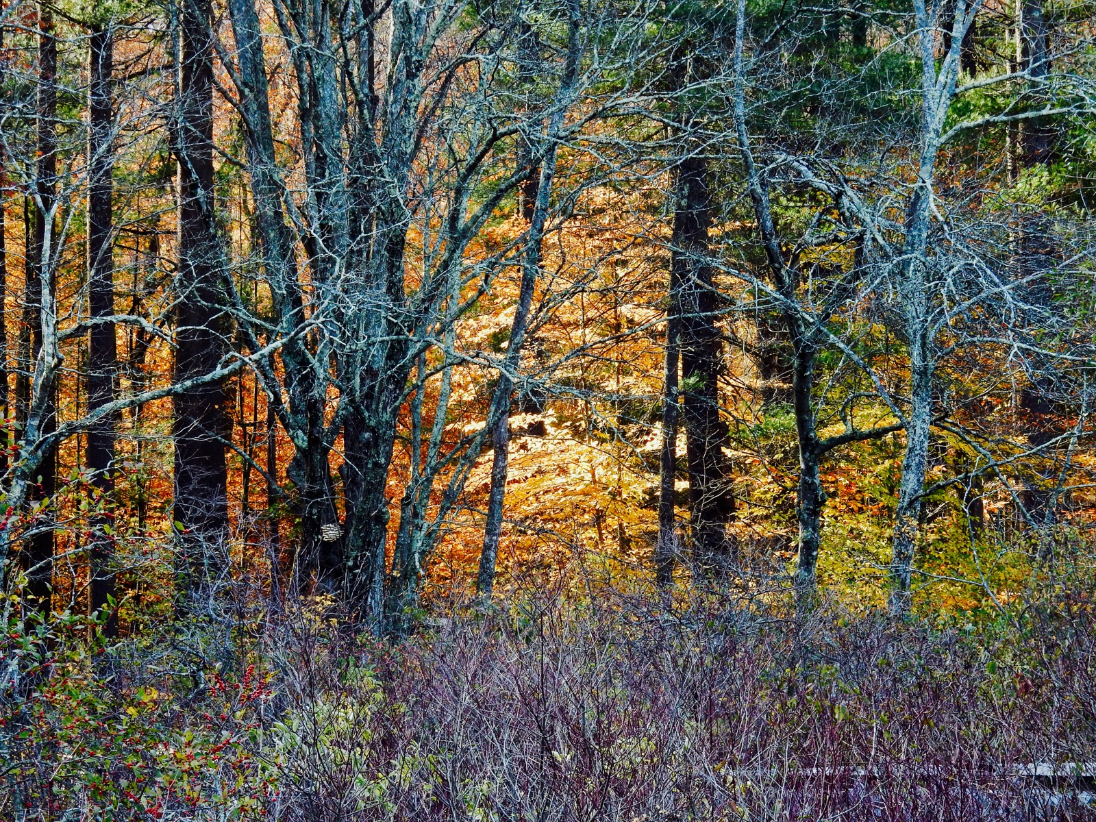 Late Fall at Chatfield Hollow State Park in Killingworth CT on a Romantic Getaways in New England