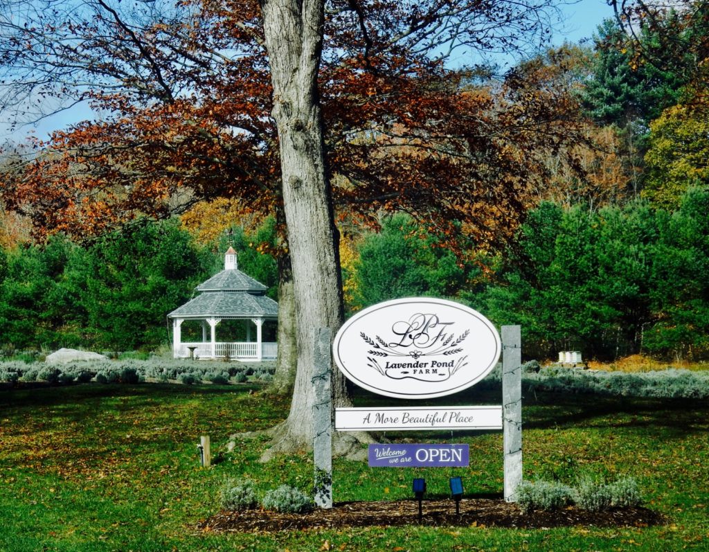 Lavender Pond Farm Killingworth CT