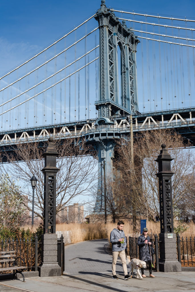 Walking Dog - Brooklyn Bridge Park - Brooklyn, NY