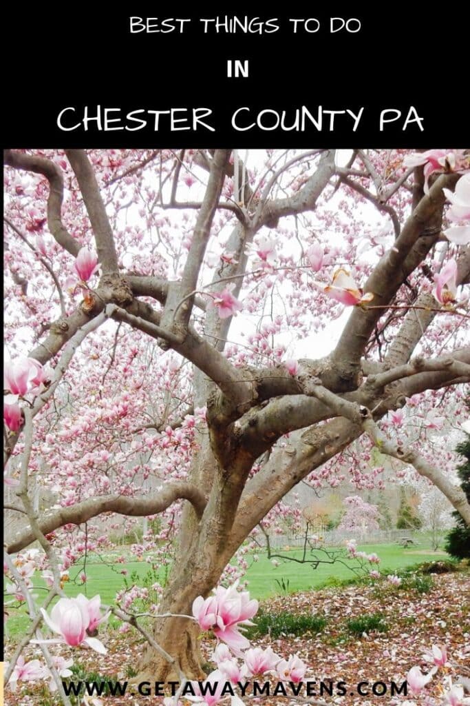 Chester County PA Pin
