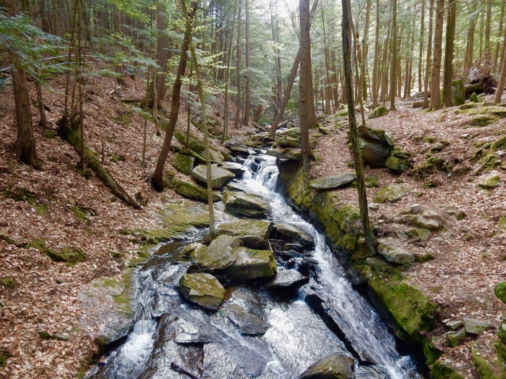 Waterfall at Chesterfield Gorge NH