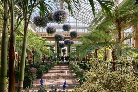 Inside the Conservatory Longwood Gardens PA