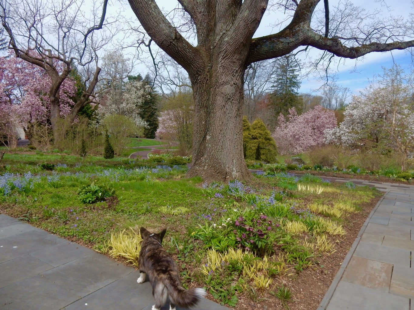 Chanticleer Garden Wayne PA