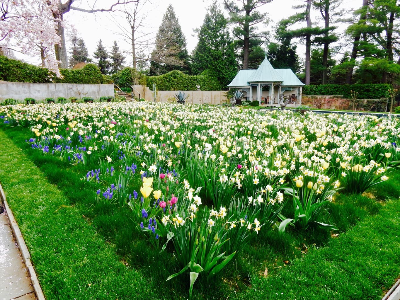 Chanticleer Garden Wayne PA